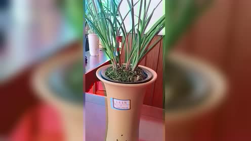 腾讯视频