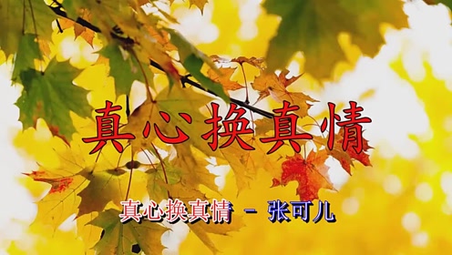 天凉了!《真心换真情》让人回忆往事,细致动人