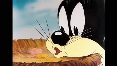 兔八哥:猫上树抓小鸟,这猫居然还会飞?结果太搞笑了