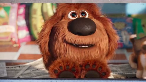 爱宠大机密:狗狗杜克小时候真是可爱啊