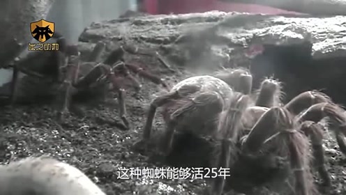 腾讯视频