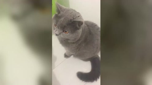 醒世名言 腾讯视频