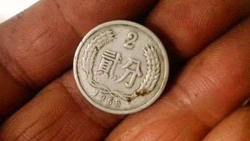 小龍蝦價格降幅超過35％，網(wǎng)友：夜宵安排一下(圖19)