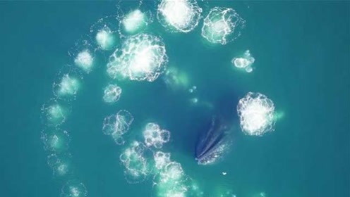 潜水吐泡泡 腾讯视频