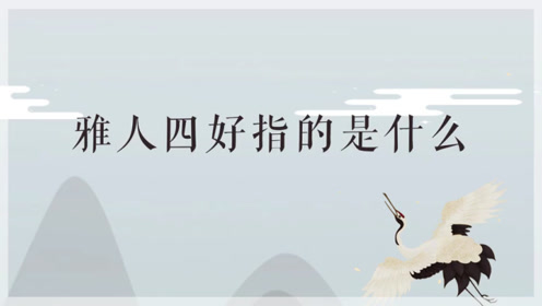 雅人四好指的是什么