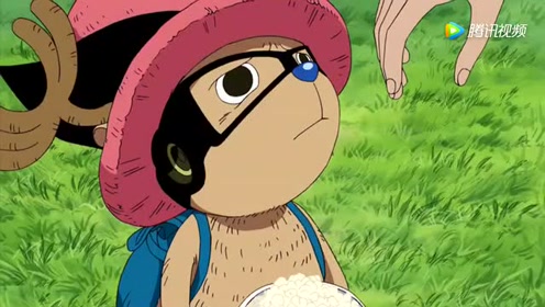 罗宾乔巴能够免费得到零食,而山治讲价半小时连折扣都没有太尴尬