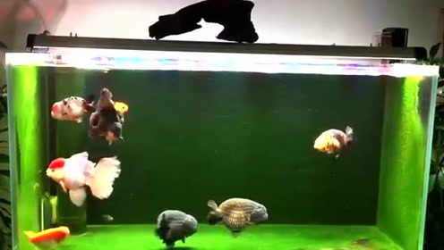 腾讯视频