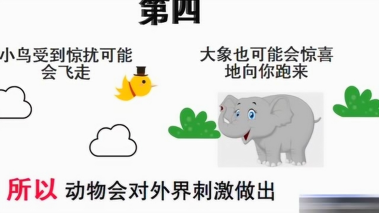 动物 生物的一个种类 搜狗百科
