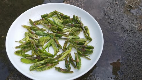 蚂蚱这样吃才过瘾,一口一只,好吃停不下来