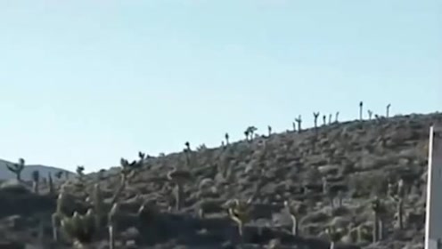 外国男子在公路旁拍下UFO降落过程，这画面太真实！的图片