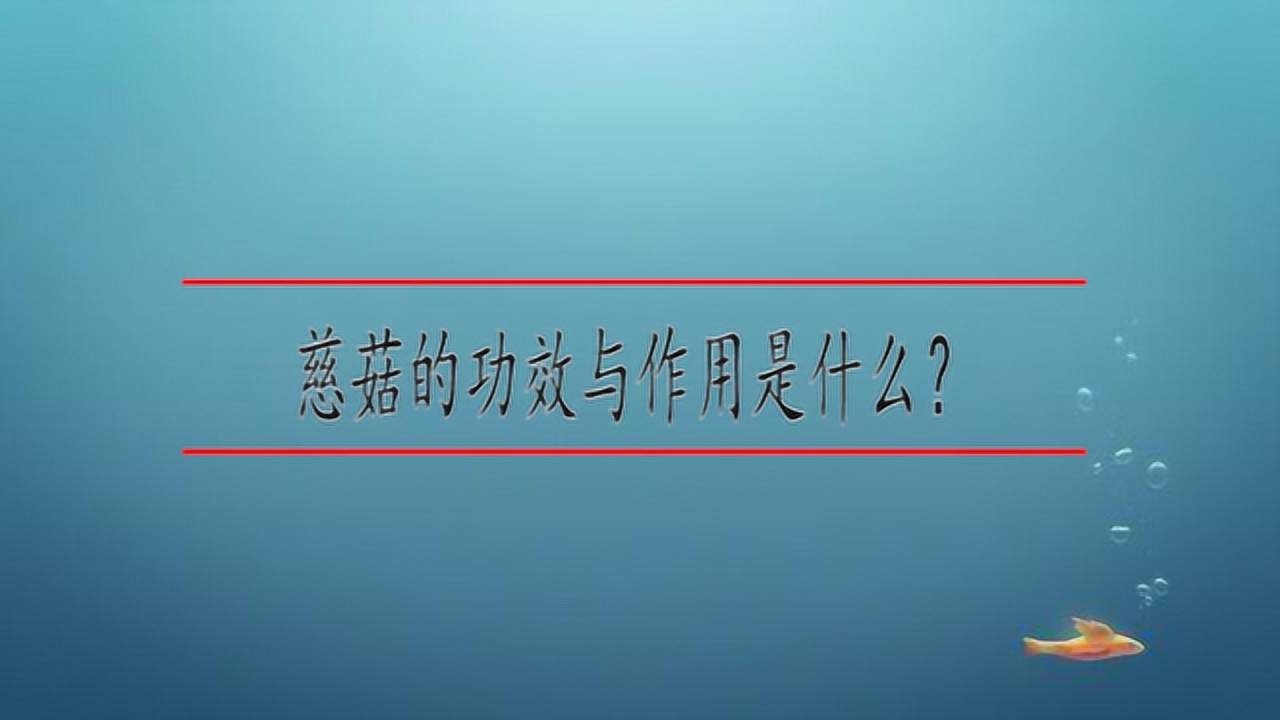 慈菇 _ 百科