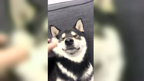 腾讯视频