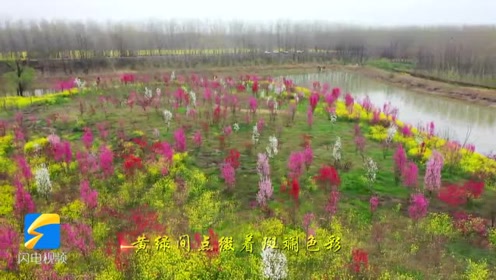 碧绿清池 腾讯视频