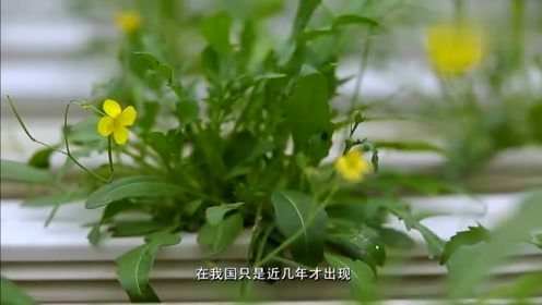 腾讯视频