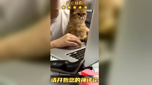 程序喵 腾讯视频