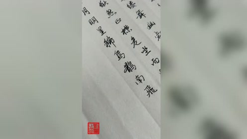 月明星稀乌鹊南飞 腾讯视频