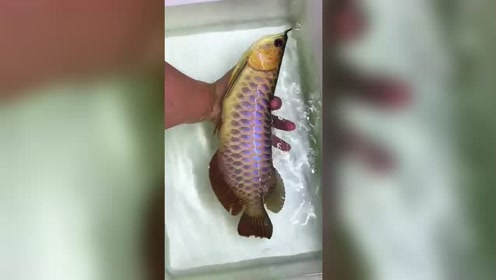 腾讯视频