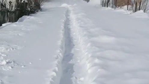 下雪大雪北方爱情恋爱 腾讯视频