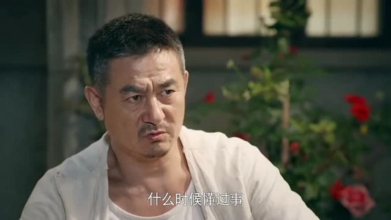 马向阳下乡记:刘世荣刘玉龙爷俩对坐着没说几句!就开始争吵!