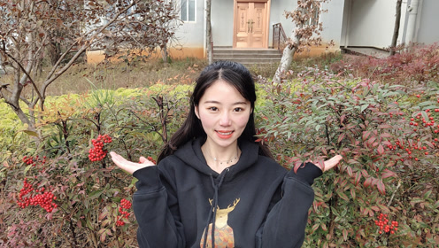 花小白 腾讯视频