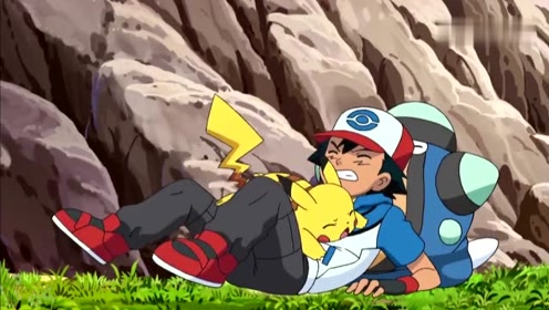 精灵宝可梦:准备收服蓝蟾蜍的修帝,被摔下来的小智打断