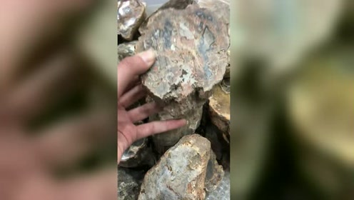 腾讯视频