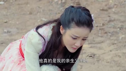 蔷薇忍冬 腾讯视频