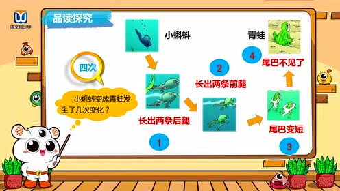 北师大版二年级语文下册第2单元 妈妈