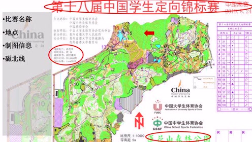 腾讯视频