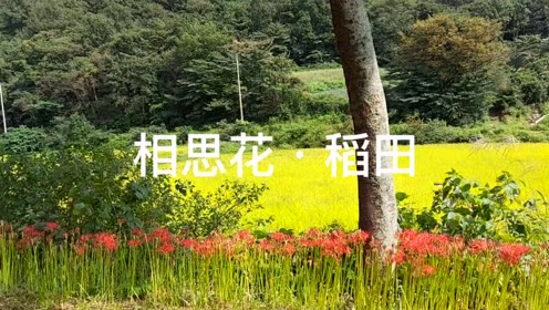 韩国光州 腾讯视频