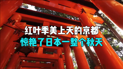 京都红叶美景 腾讯视频