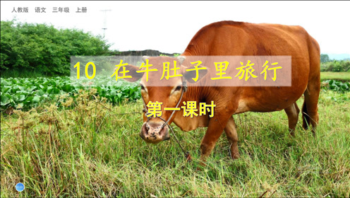苏教版三年级语文上册23 珍惜自己