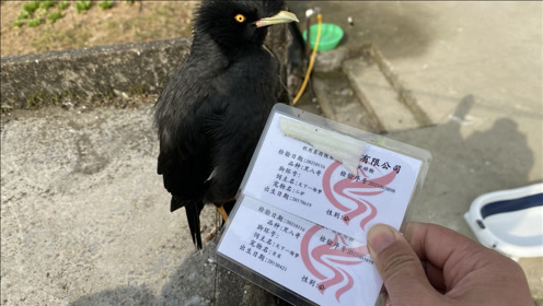 腾讯视频
