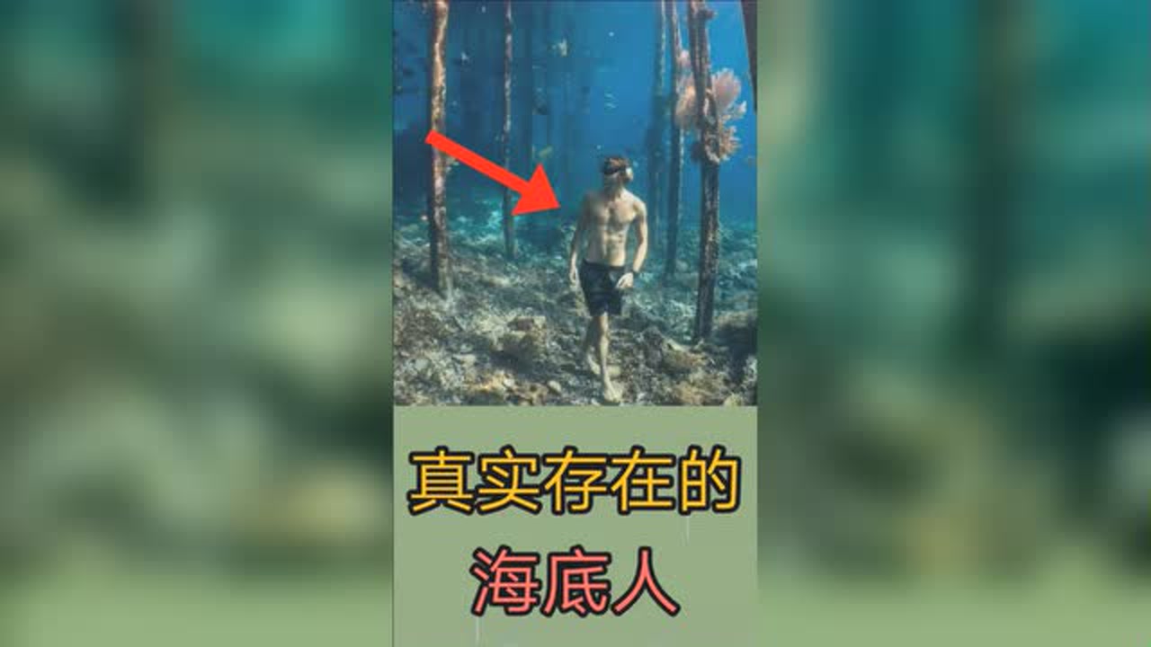 世界上有海底人吗_世界上有海底世界吗