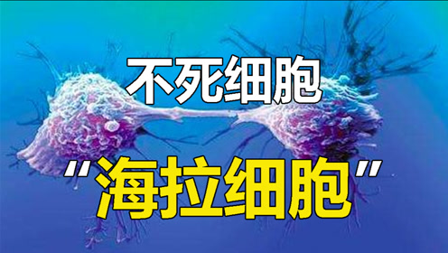 腾讯视频