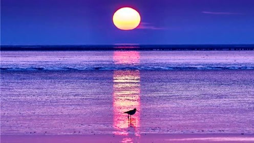 春江花月夜音乐 腾讯视频