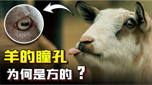 腾讯视频