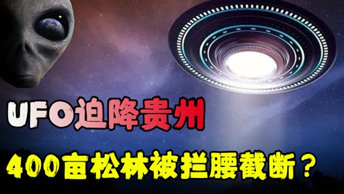 UFO迫降贵州？400亩树木被拦腰截断，是否真与外星人有关？