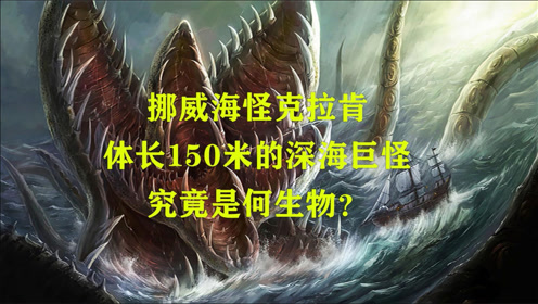 挪威海怪克拉肯,体长150米的深海巨怪,究竟是何生物?