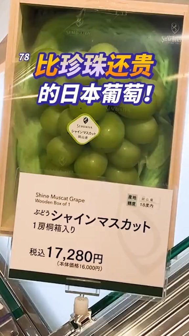 追日本小姐姐要送什么 就不用我多说了吧 #天价 #水果 #日本生活