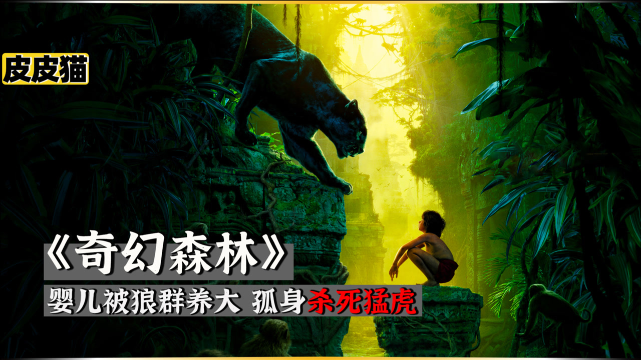 狼群养大的孩子,8岁挑战森林王者《奇幻森林》