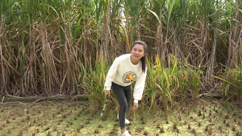 0:09:40时 间:2021-10-28上传者:壮乡小莫简 介:农村女孩农忙第二天