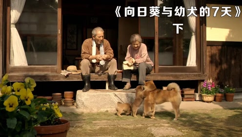 腾讯视频