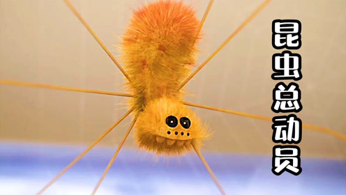 搞笑动画时 间:2021-11-24上传者:夏沫视界电 影:昆虫总动员第二季