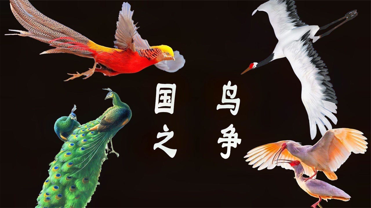的动物2003年,国家林业局和中国野生动物保护协会启动了国鸟评选活动