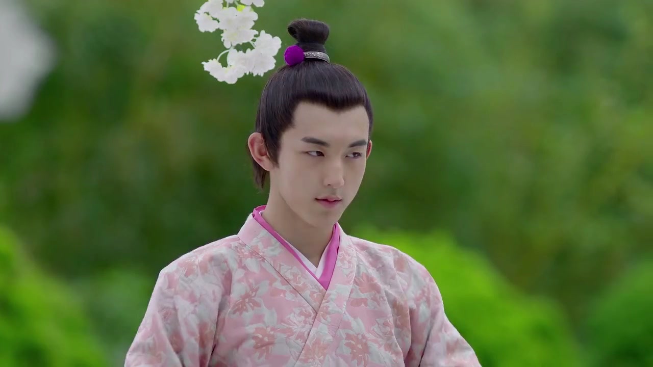 太子妃:杨严为娶娇妻也是拼了,头悬梁锥刺股,身强力壮饱读诗书