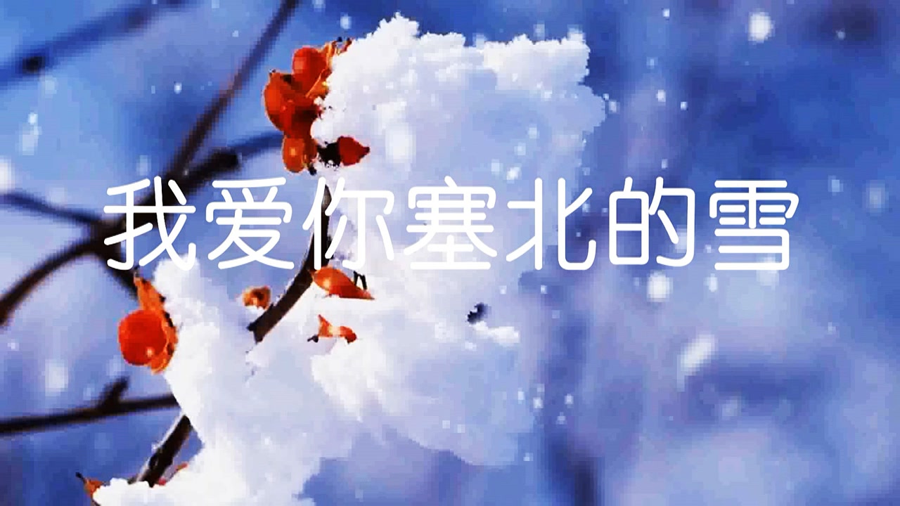 小雪一曲萨克斯我爱你塞北的雪漫天飞舞的雪花祝您安康