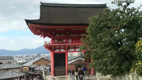 日本大阪京都奈良 腾讯视频