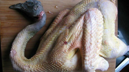 俗话说癞蛤蟆想吃孔雀肉,鲜嫩爽滑400元一份食客络绎不绝