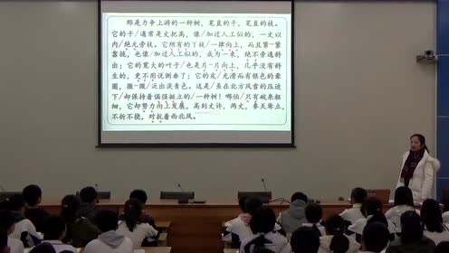 苏教版八年级语文下册2 白杨礼赞